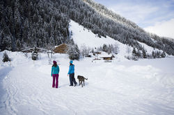 [Translate to English:] Winterwandern im Zillertal